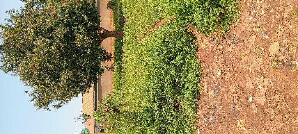 Houses land schools  for sale