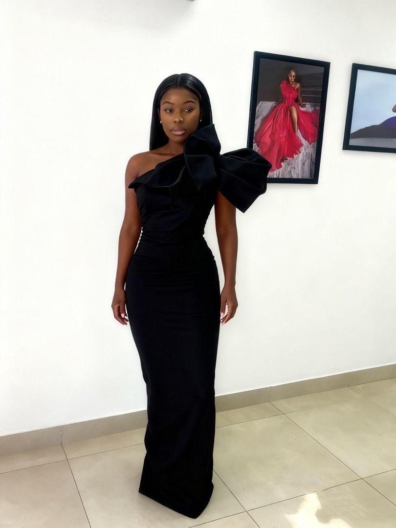 Ladies Elegant Dress