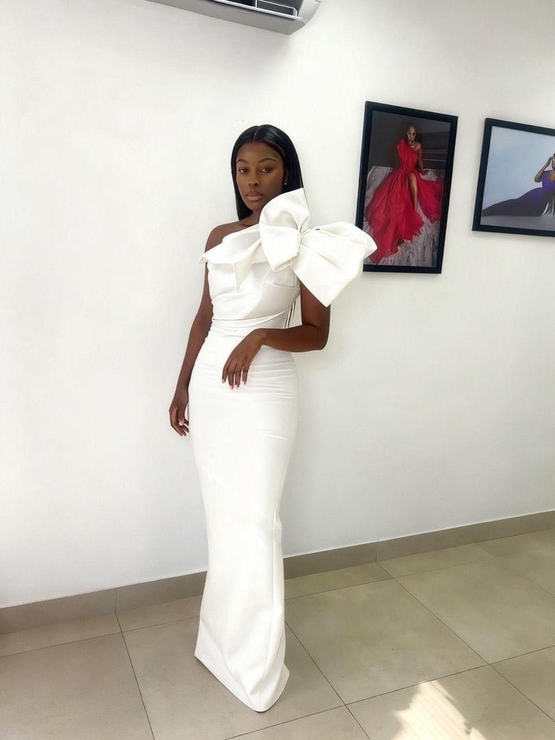 Ladies Elegant Dress