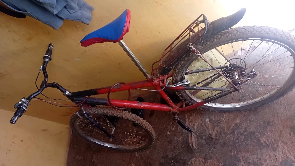 sports and travelling bike for all ages