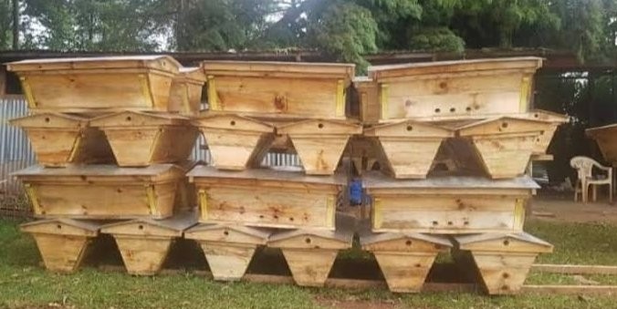 KTB Bee Hives