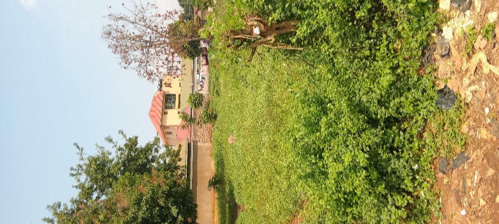 Houses land schools  for sale